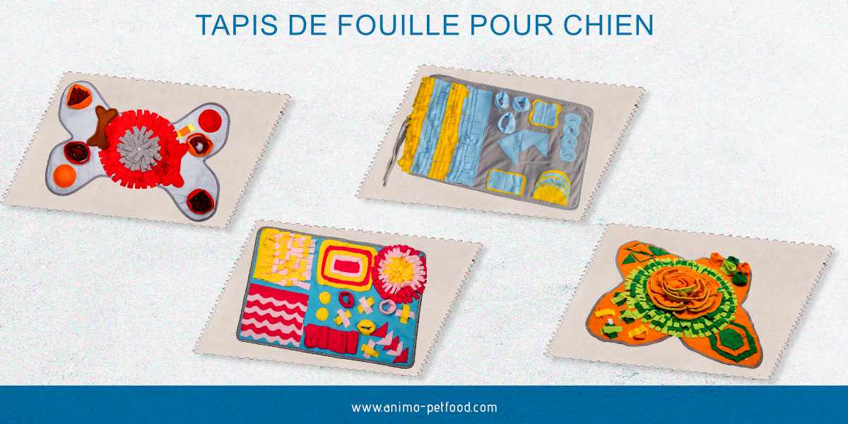 tapis de fouille pour chien